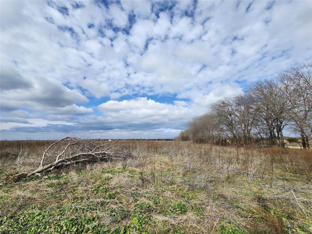 TBA Private Road 196 - Photo 1