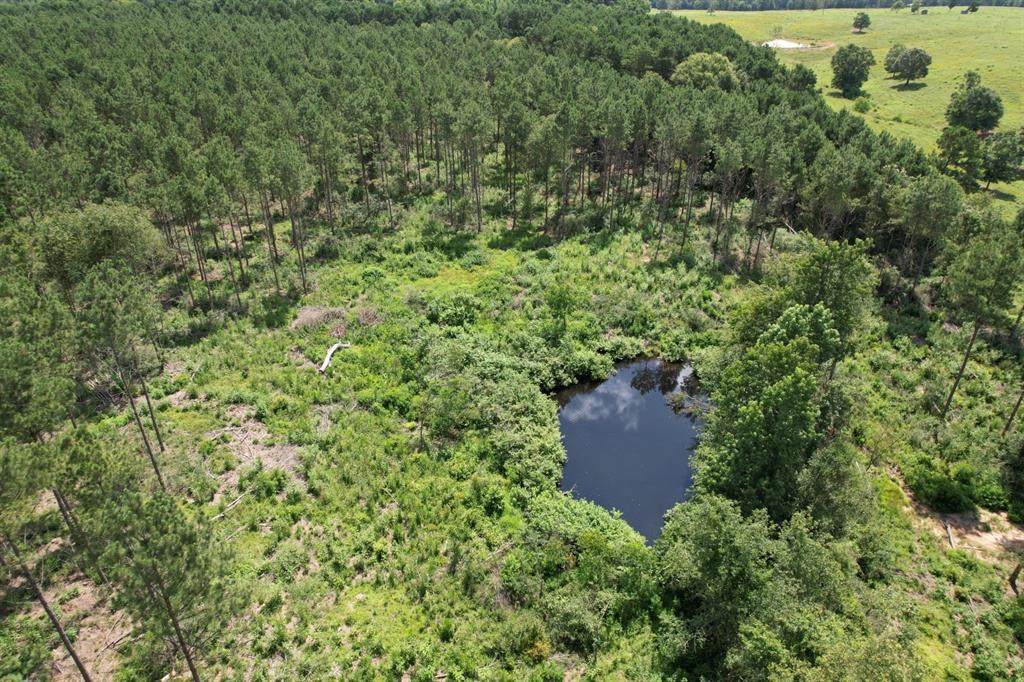 TBD County Road 3706 - Photo 1