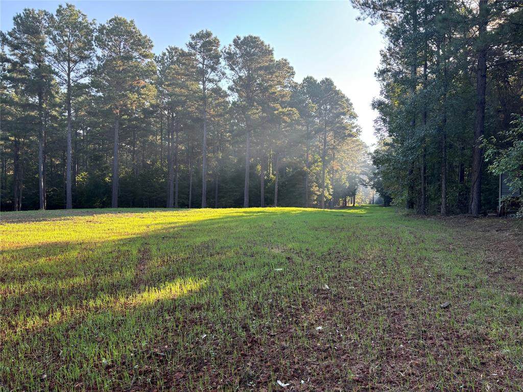 00 Old Plain Dealing Road - Photo 1
