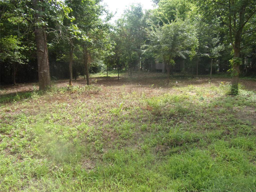 751 Dogwood Trail - Photo 1