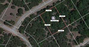 30040 Greenhill Drive - Photo 1