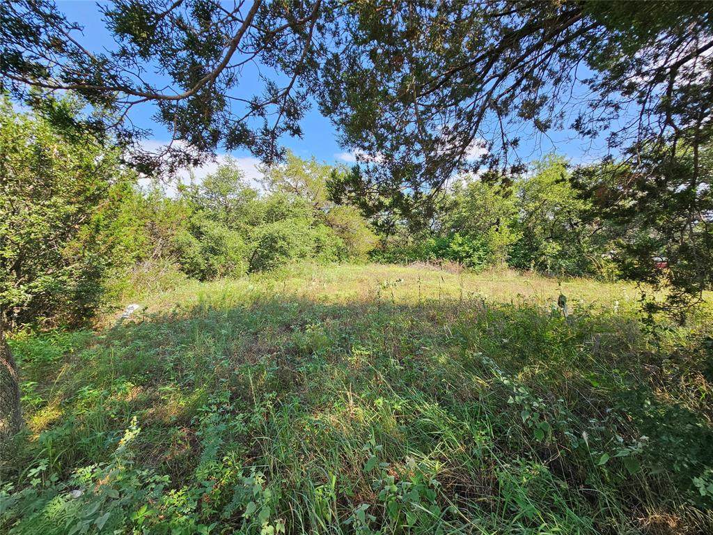 TBD Lakeview Trail - Photo 1