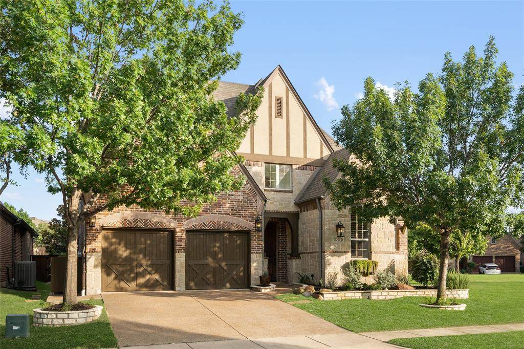 8221 Paisley - Photo 1