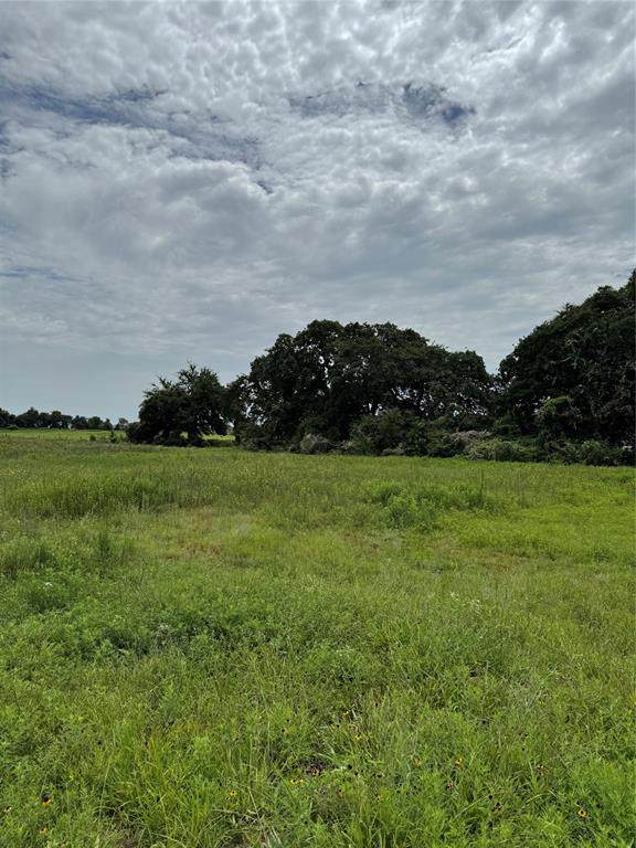 1041 Wildcat Circle - Photo 1