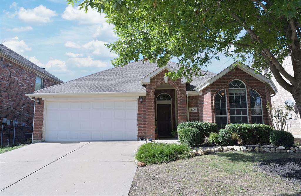 4509 Butterfly Way - Photo 1