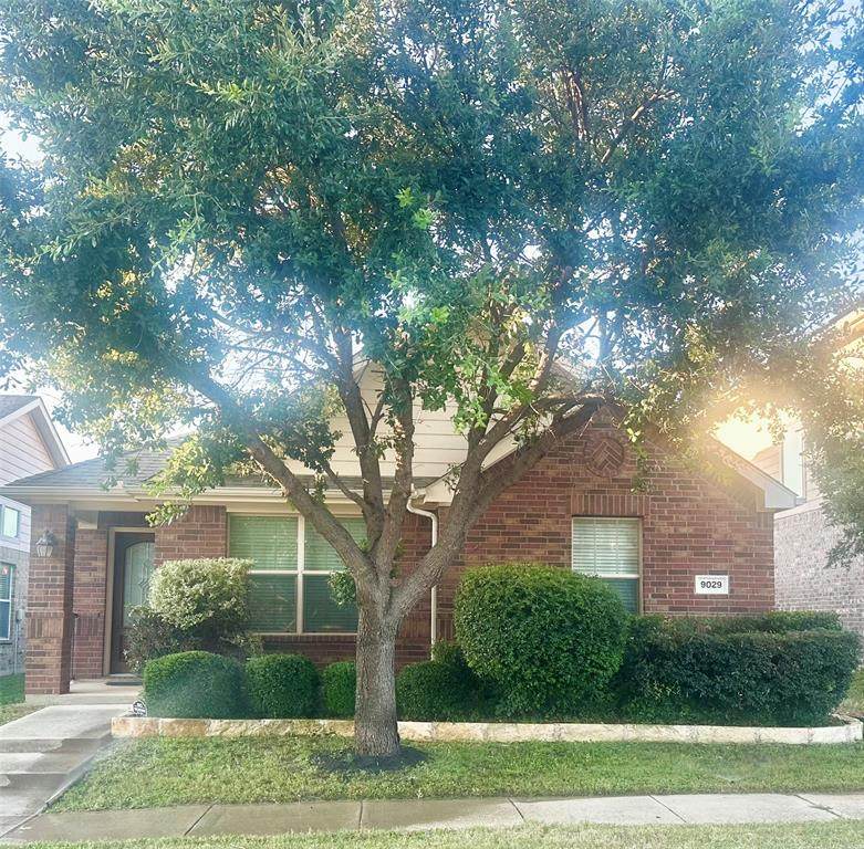 9029 Sundance Trail - Photo 1