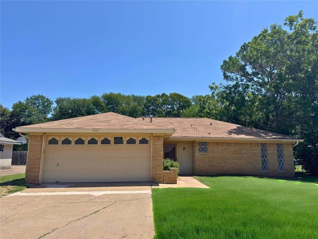 203 Faye Street - Photo 1