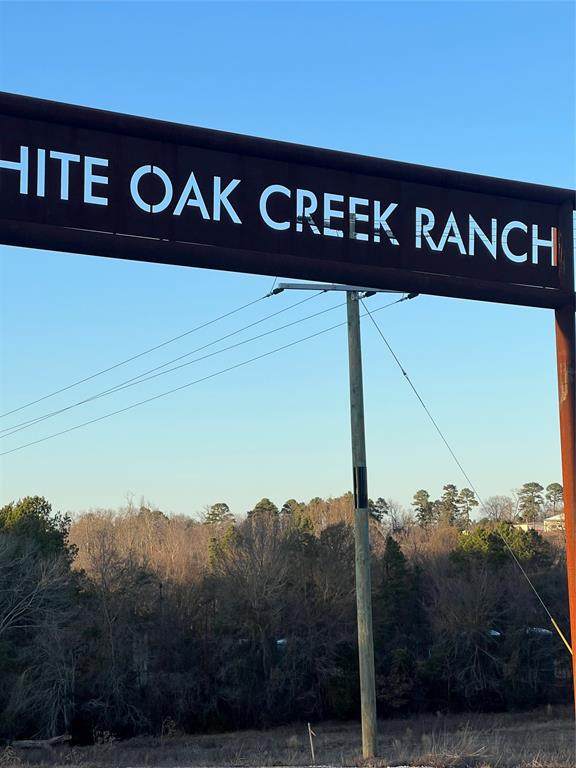 Lot 20 Private 3398 Road - Photo 1