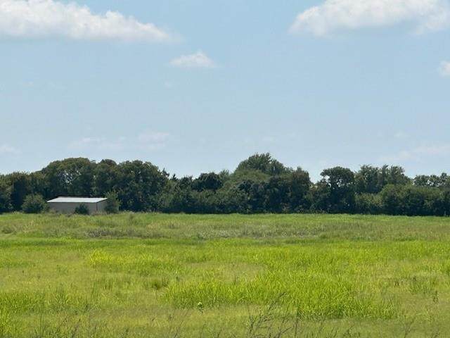 10328 County Road 418 - Photo 1