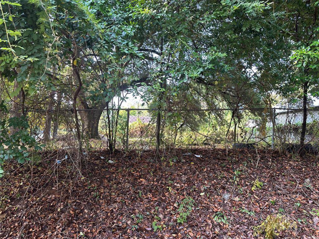 3501 Darien Street - Photo 1