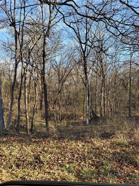 0 Wood Lane - Photo 1