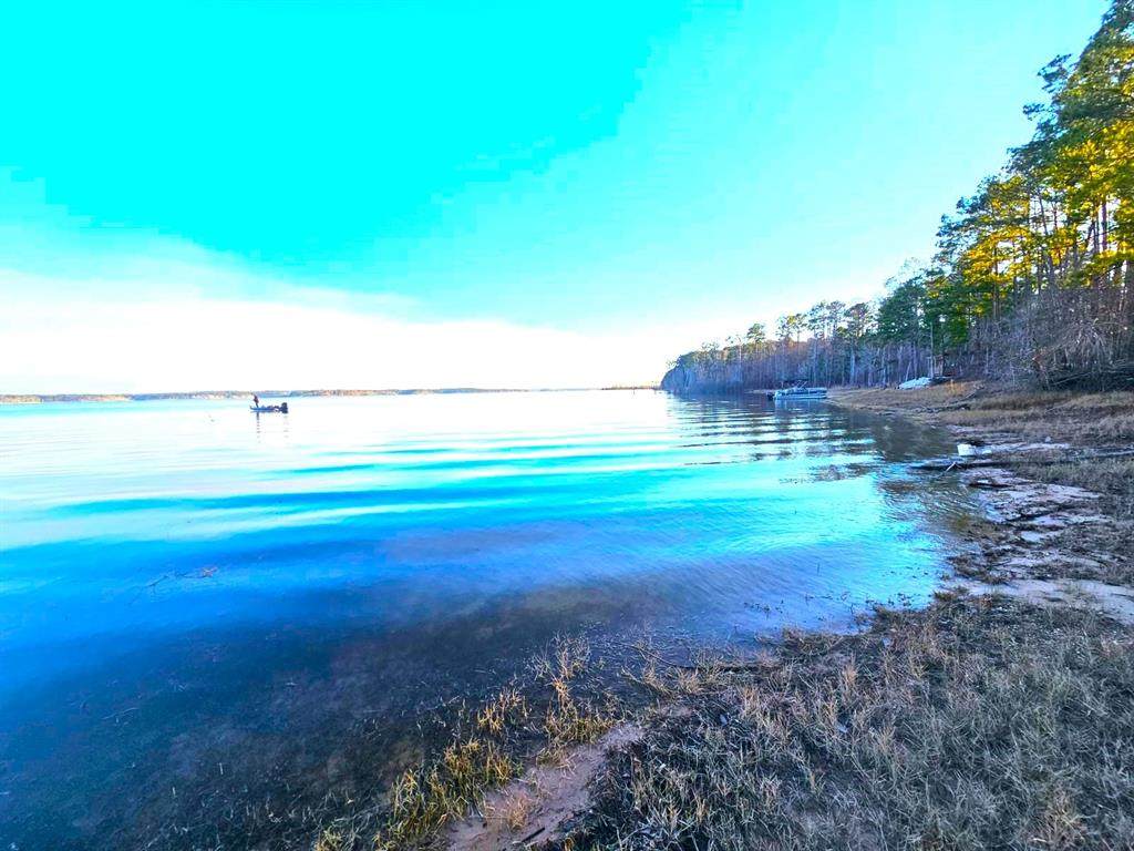 7807 County Road 447 - Photo 1