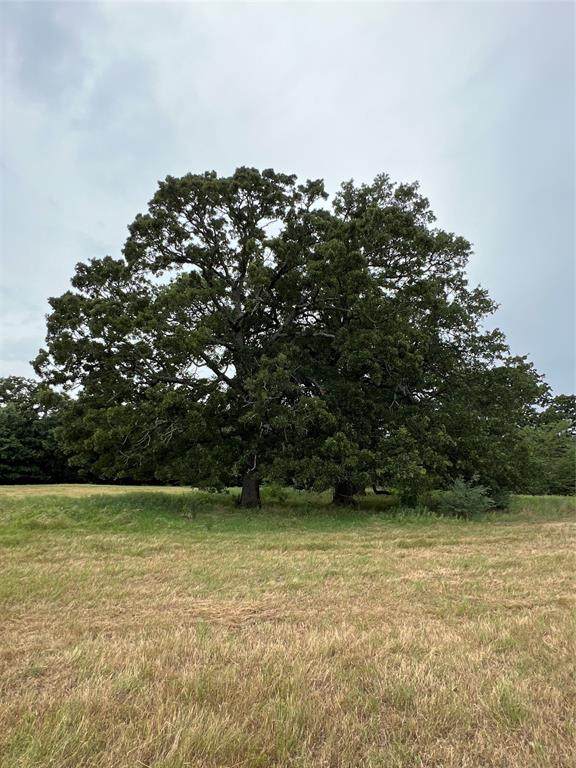 TBD County Road 3515 - Photo 1