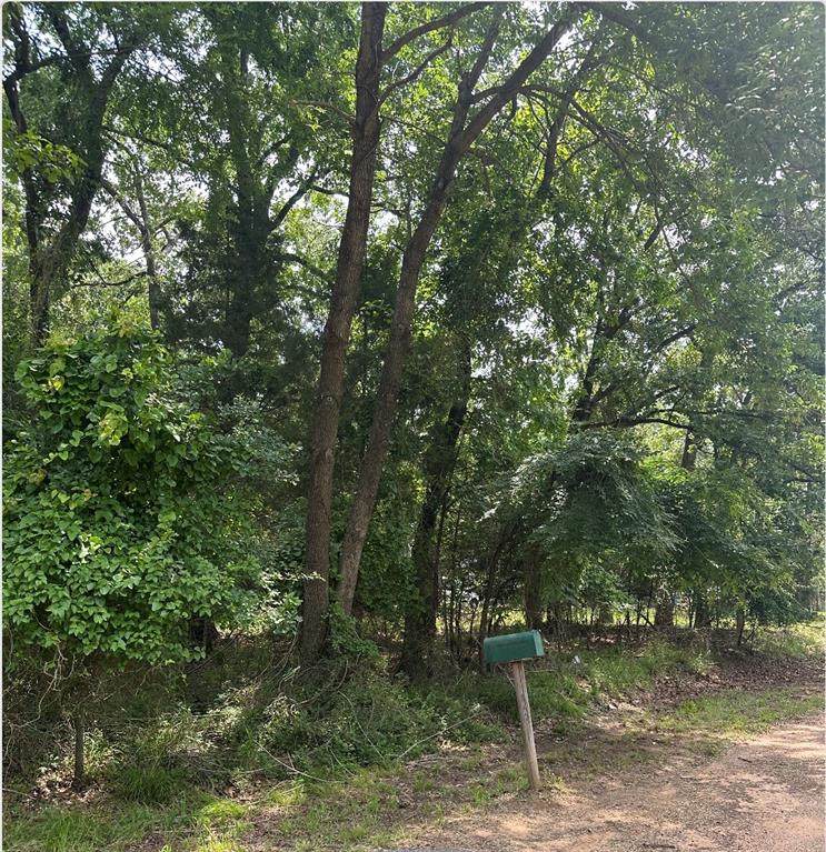 0 Hickory Street - Photo 1