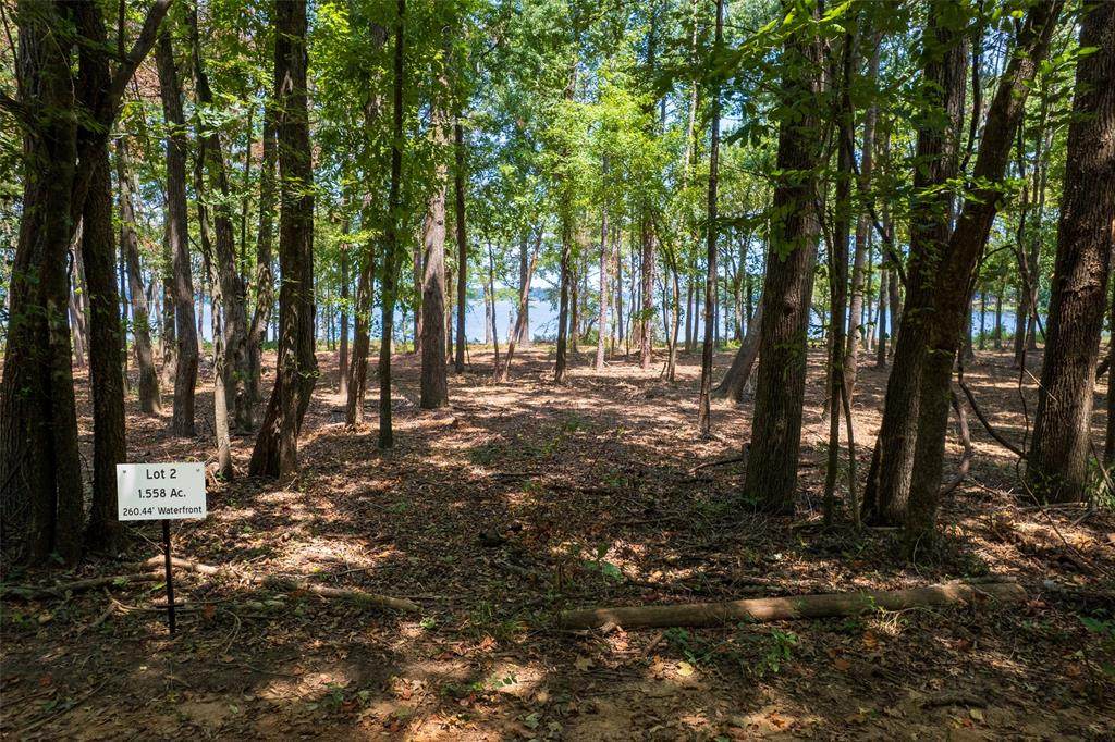 TBD Pvt Rd 52447 - Photo 1