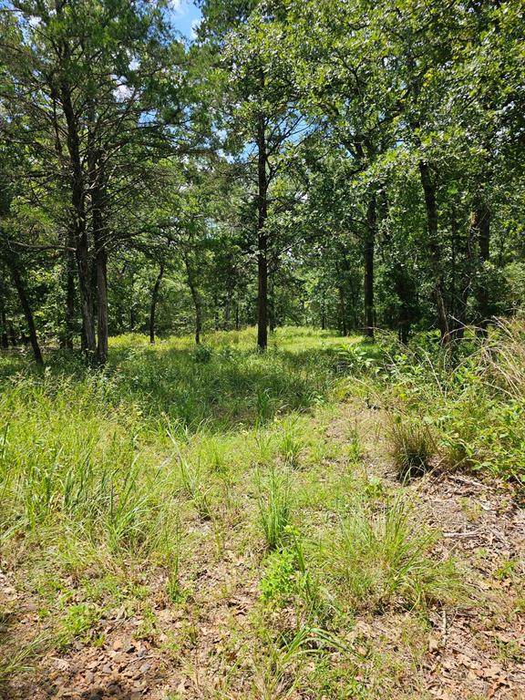 LT 377 Timber Ridge - Photo 1