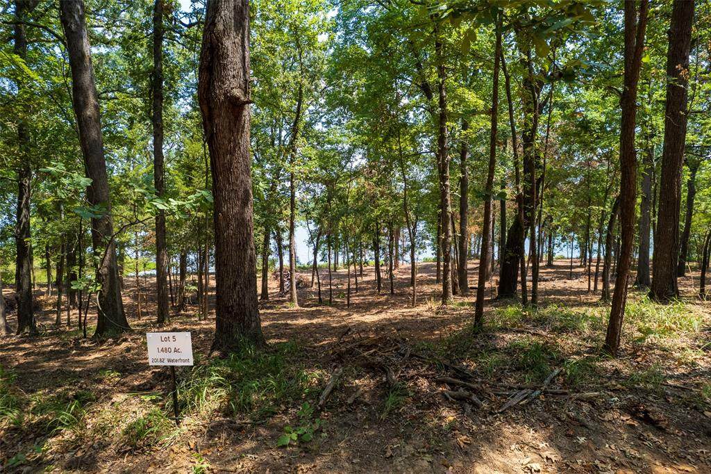 TBD Private Road 52447 - Photo 1