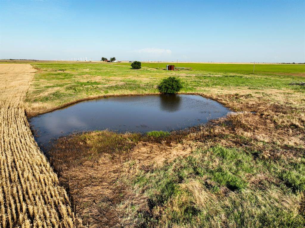 1250 County Road 4430 - Photo 1