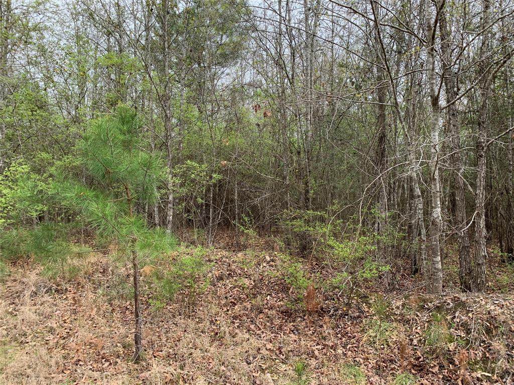 0 Sikes Orchard Road - Photo 1