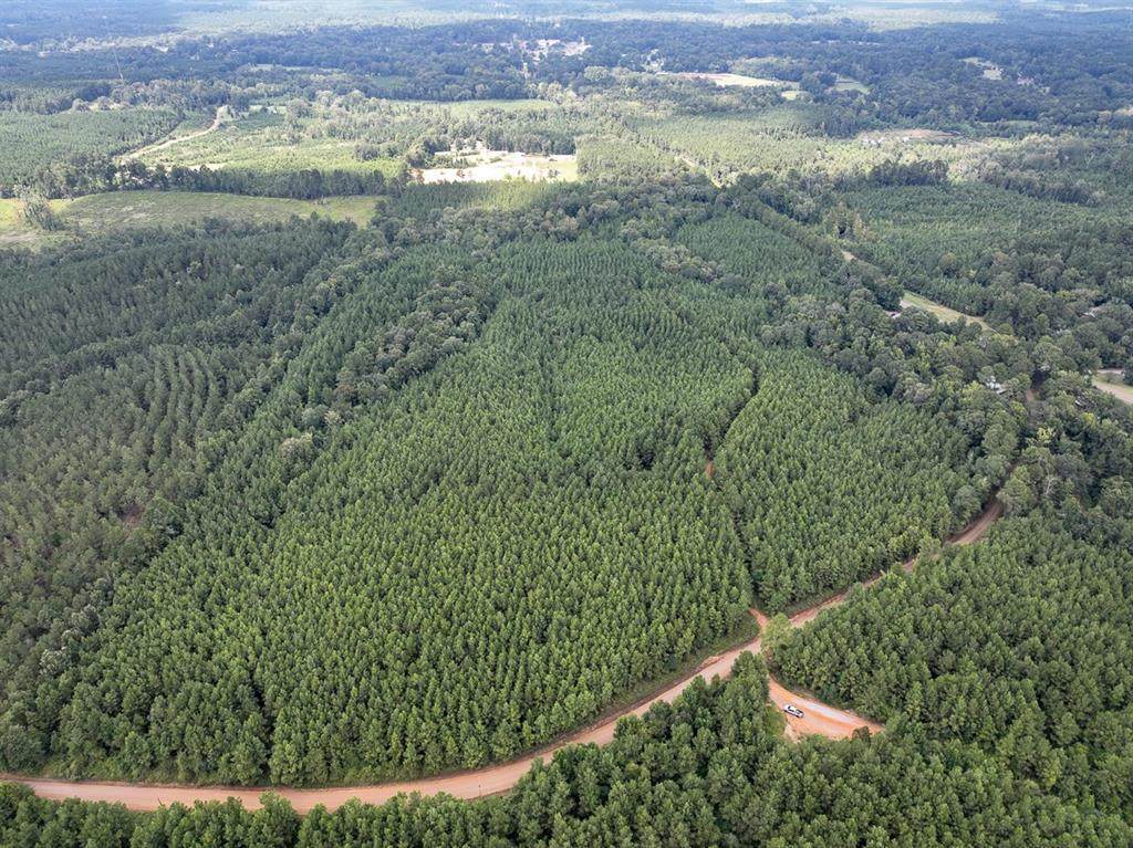 T-1 Provencal Vowell Mills Rd - Photo 1