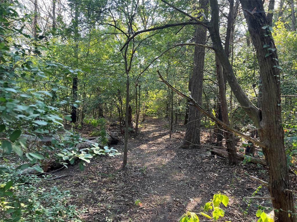 16333 Co Rd 339 - Photo 1