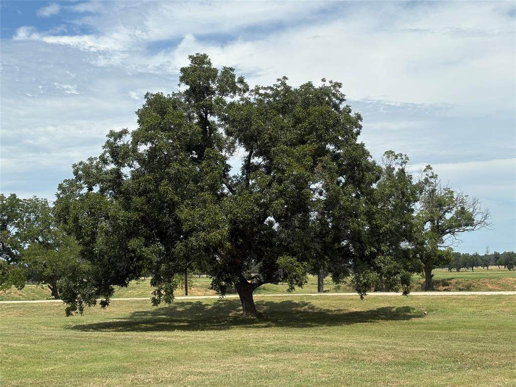 1078 River Ranch Lane - Photo 1