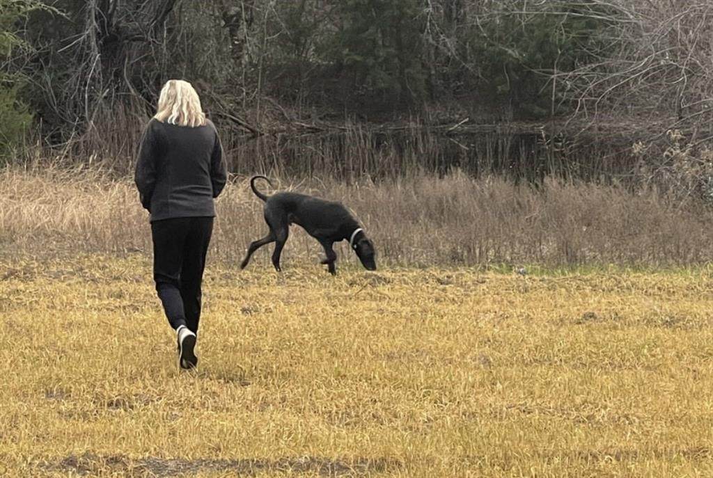 TBD Hcr 2224 - Photo 1