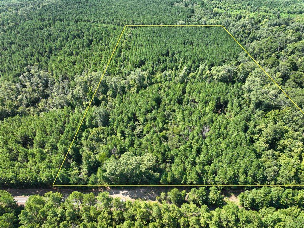 TBD Sam Booker Road - Photo 1