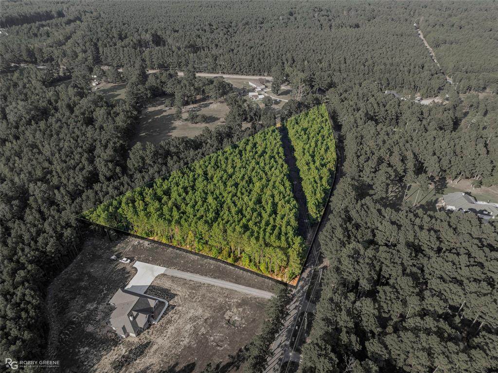 190 Linton Bellevue Road - Photo 1