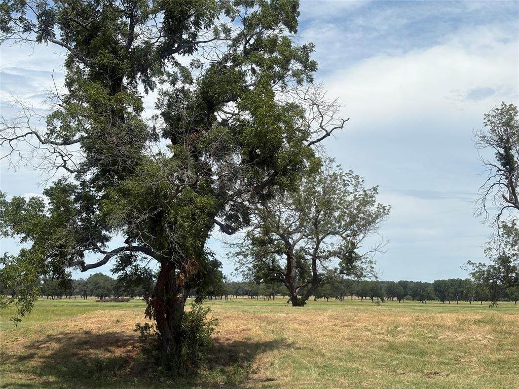 1067 River Ranch Lane - Photo 1