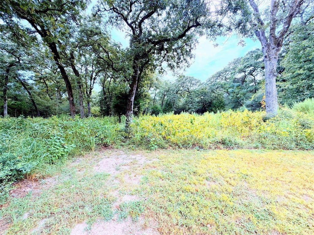 TBD Trailride - Photo 1