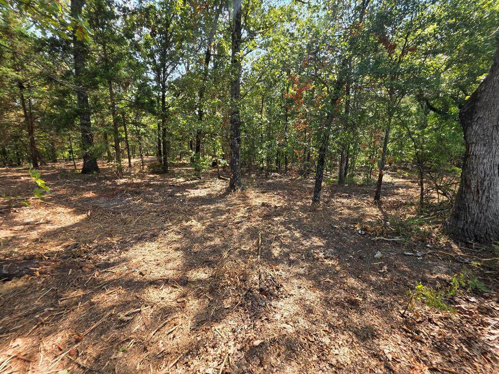 Lot 2 Cr 2710 - Photo 1