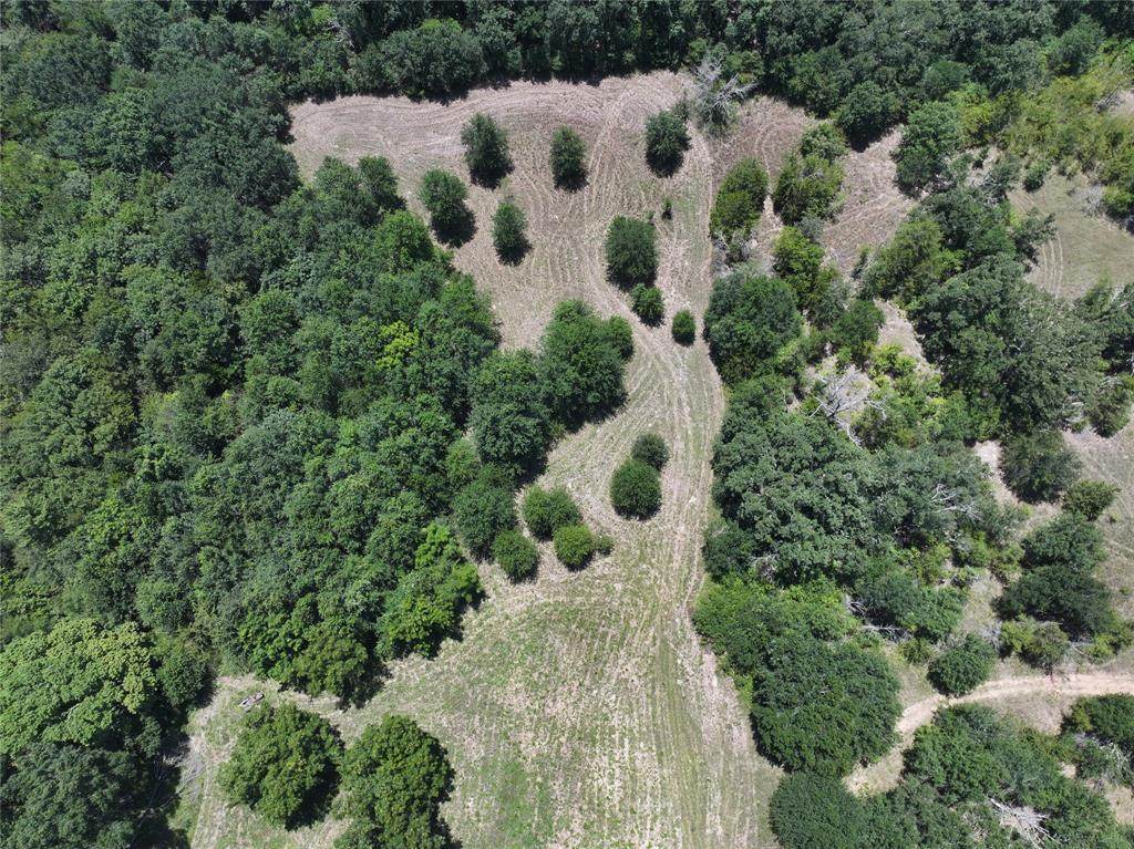 0 Co Rd 110 - Photo 1