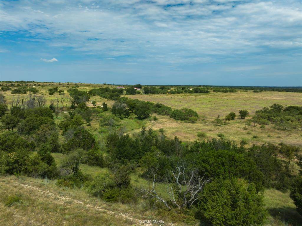 241 Whitetail Springs Lane - Photo 1