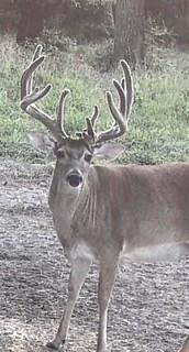 6935 U.S. Highway 175 W - Photo 1