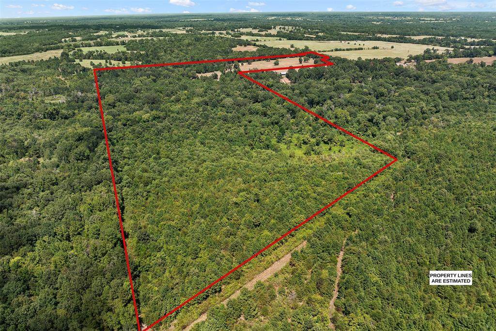 3303 Wellborn Road - Photo 1