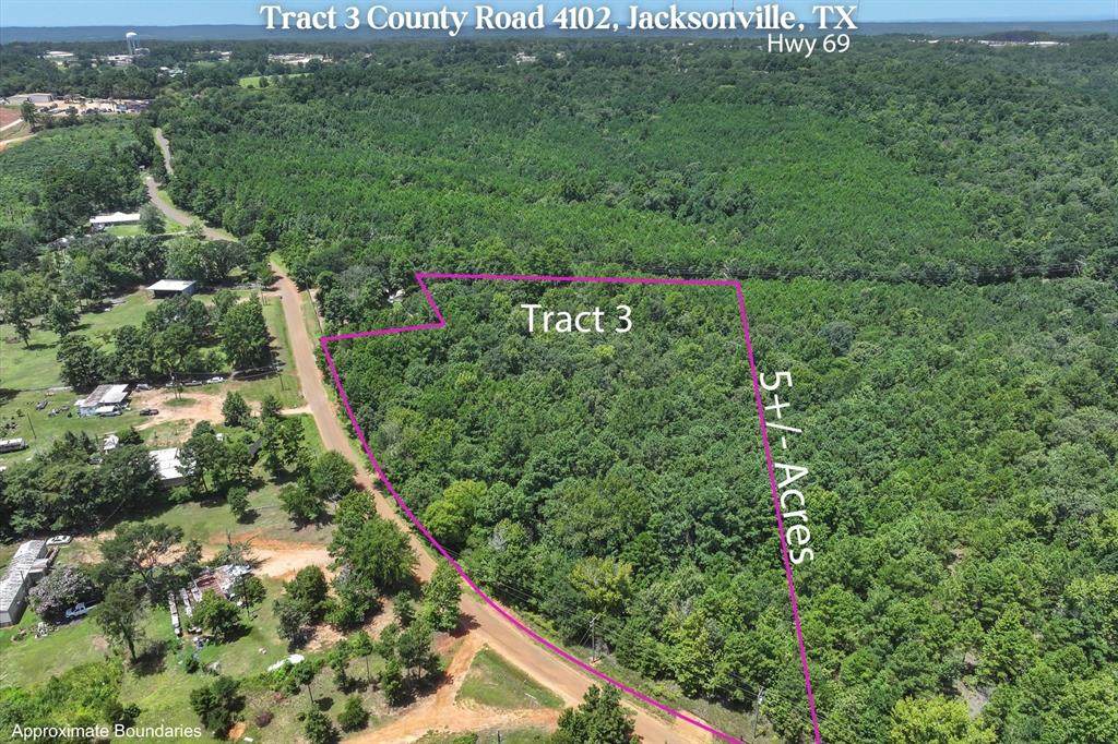 Tract 3 County Road 4102 - Photo 1
