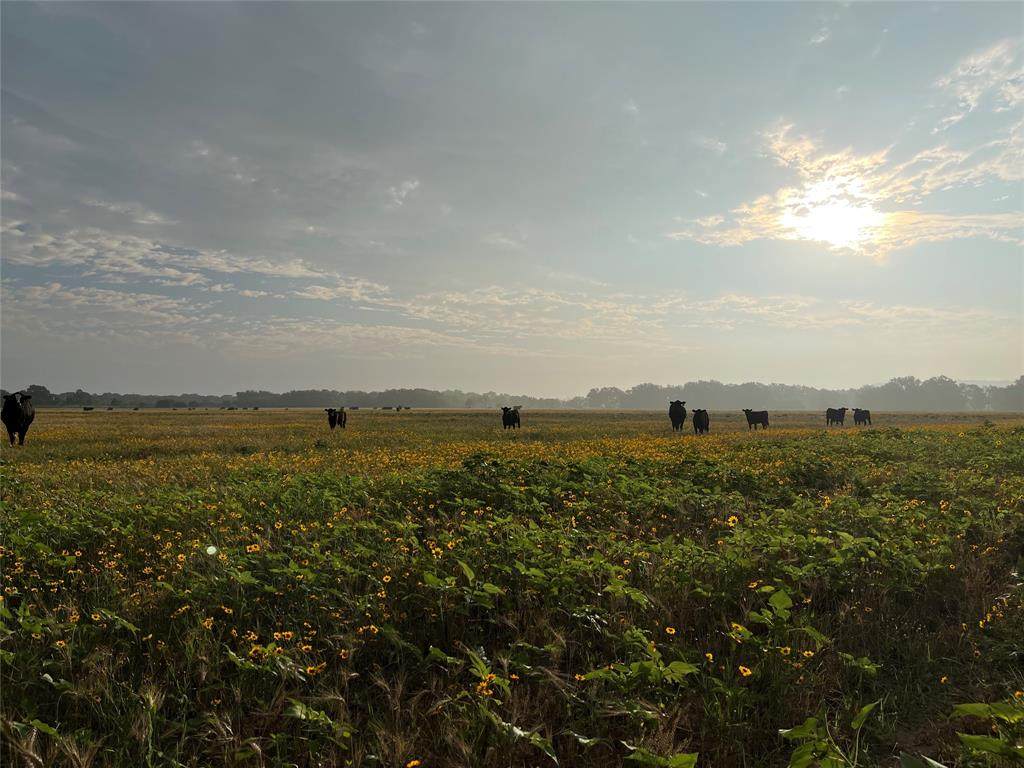 TBD Cr  131 - Photo 1