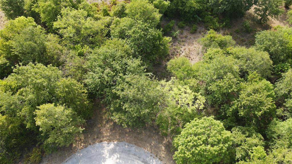 27164 Whispering Meadow Drive - Photo 1