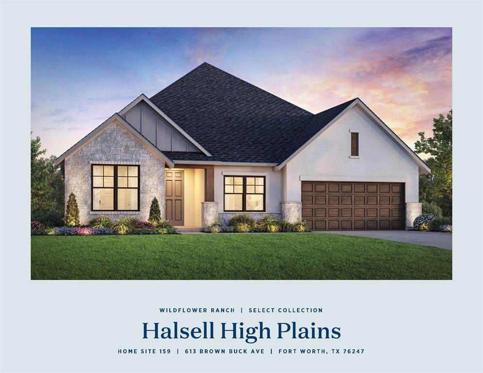 617 Brown Buck - Photo 1