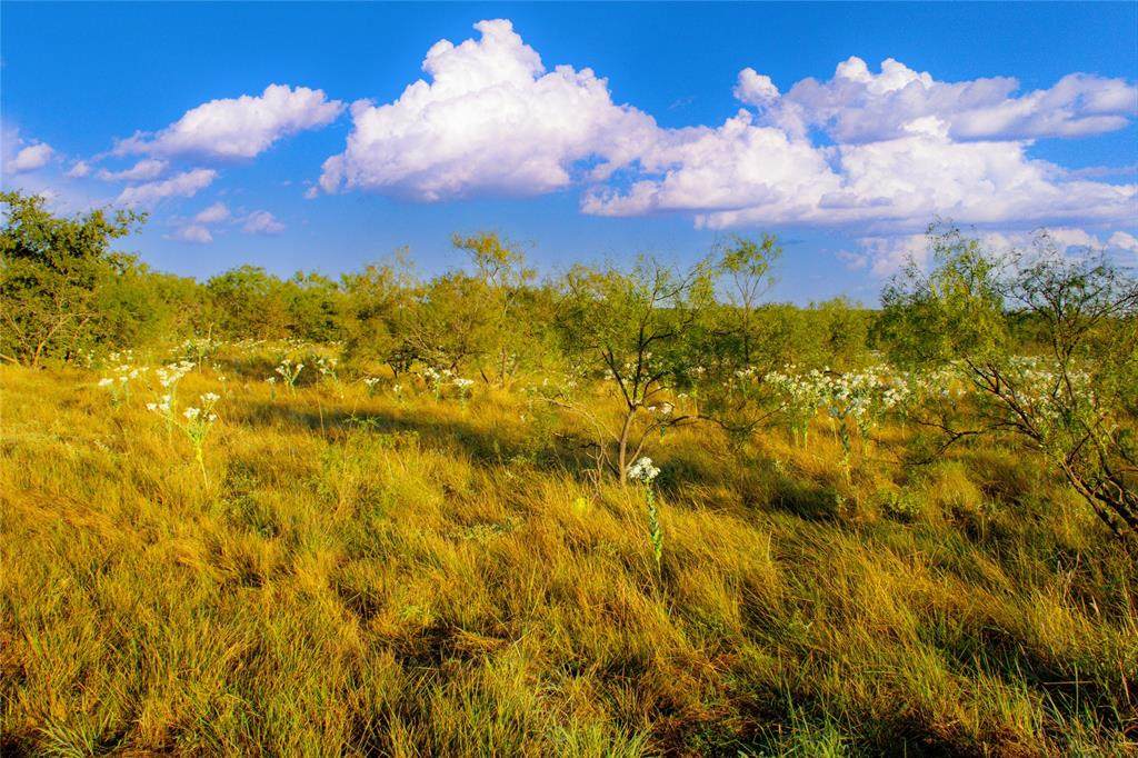 https://bt-photos.global.ssl.fastly.net/ntreis/orig_boomver_1_21045870-2.jpg