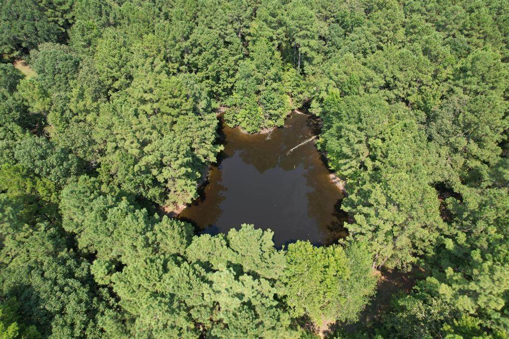 TBD County Road 283 - Photo 1