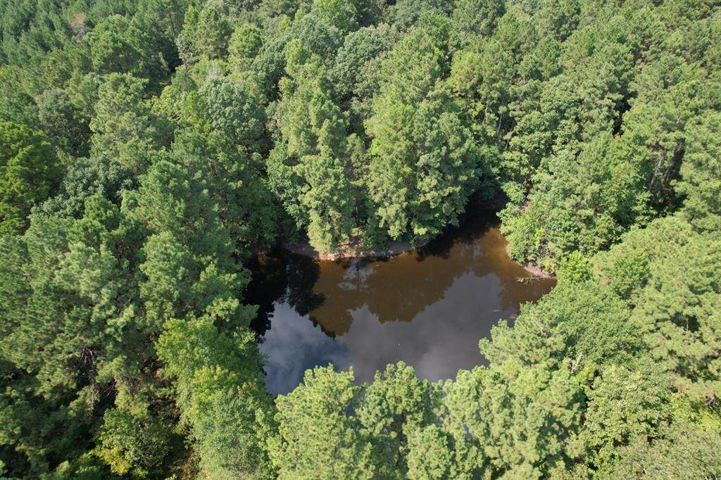 https://bt-photos.global.ssl.fastly.net/ntreis/orig_boomver_1_21046352-2.jpg