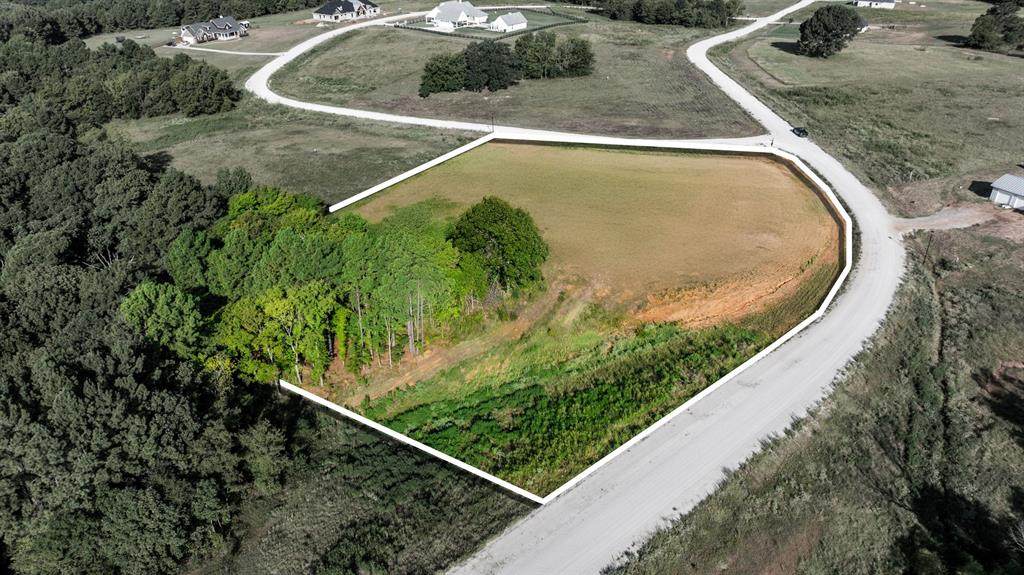 17109 Lux Mundi Lot 28 - Photo 1