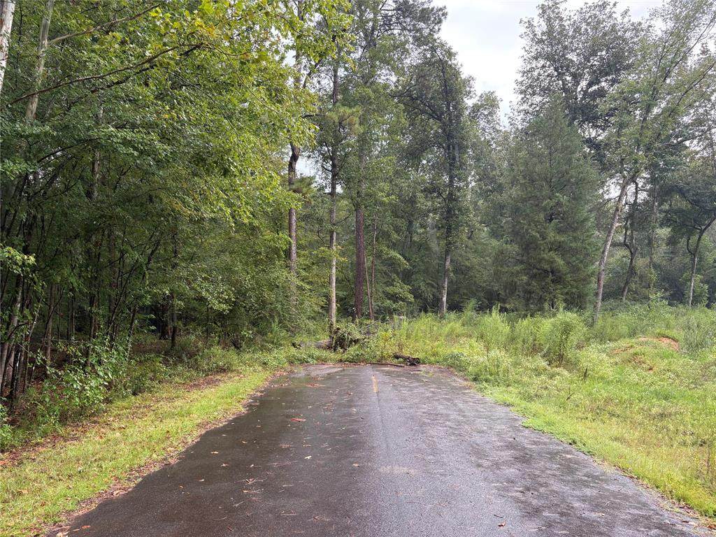 0 Fox Skin Drive - Photo 1