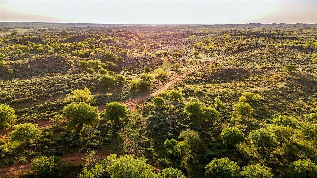 1241 County Road 24 - Photo 1