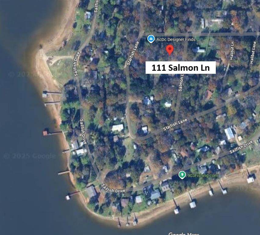 111 Salmon Lane - Photo 1