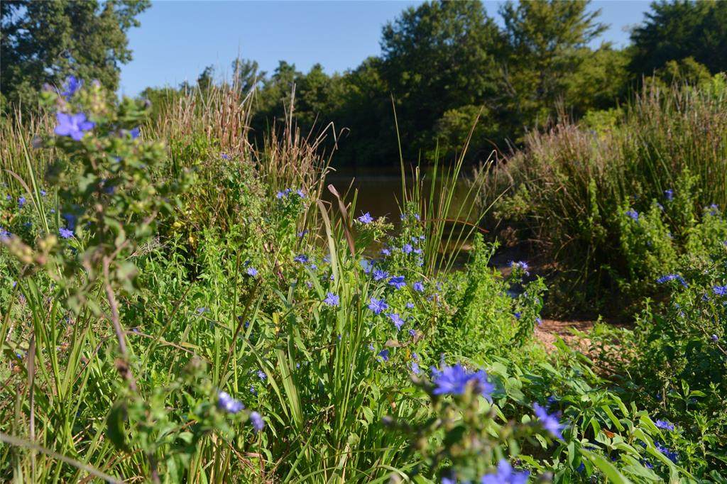 TBD Vz County Road 1820 - Photo 1