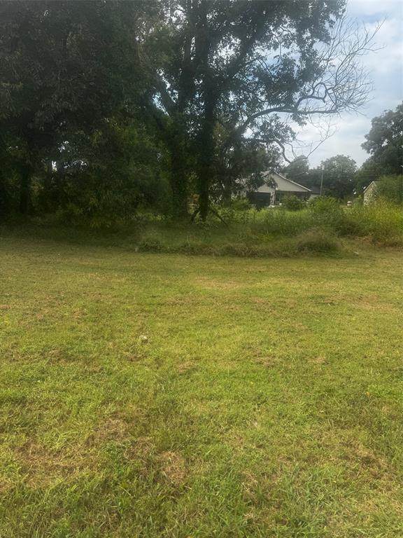 105 Brazos Avenue - Photo 1