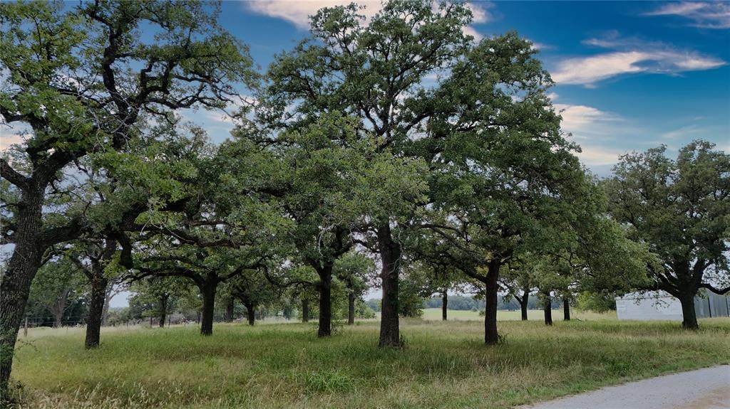 3879 Zion Hill Road - Photo 1